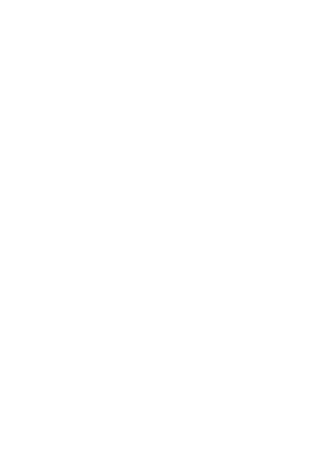 vico electric